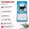 BrownTrout; Yoga Kittens OFFICIAL | 2027 7 x 14 Inch (Hanging) Monthly Mini Wall Calendar; Category:Wall Calendars; Image:7